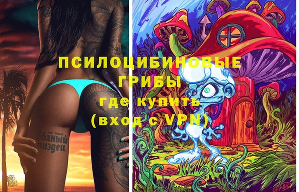 круглые Алзамай